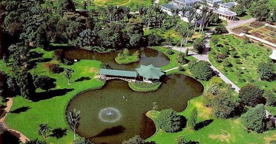 Jardin Botanico Nacional