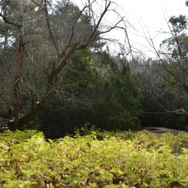 Jardín Botánico Nacional